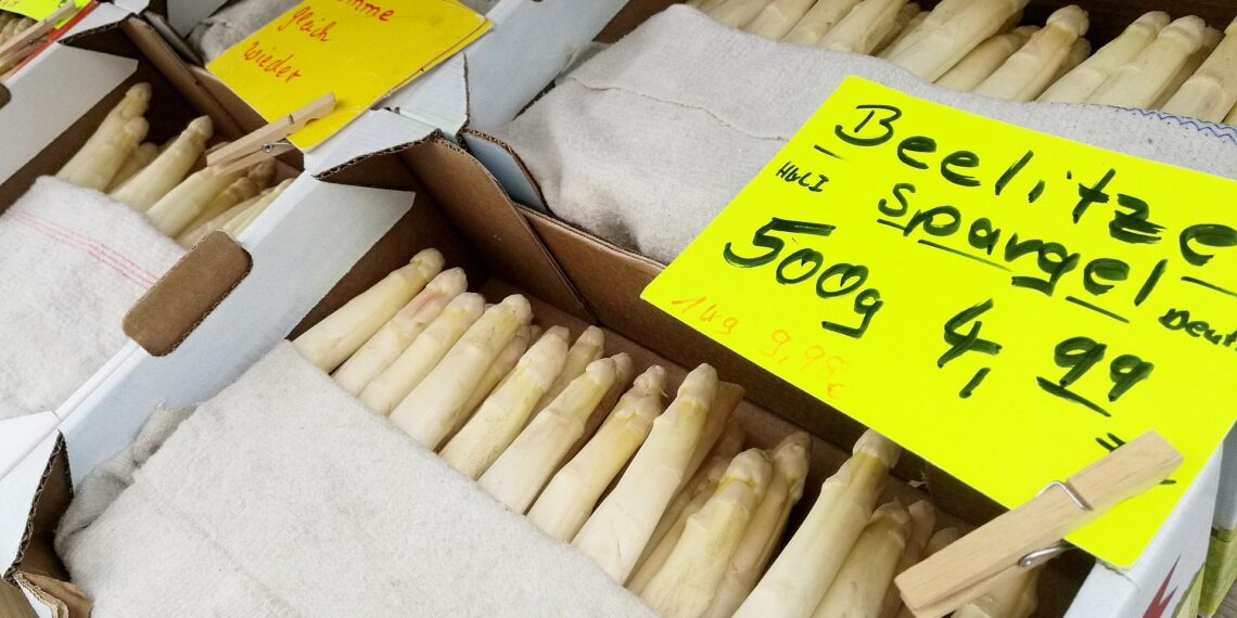 CDU pocht auf Mindestlohn-Ausnahmen für Saisonarbeiter 1 Spargel (Archiv)