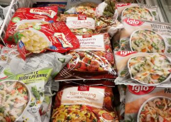 In Deutschland werden immer mehr Fertiggerichte produziert 2 Tiefgekühltes Fertigessen (Archiv)