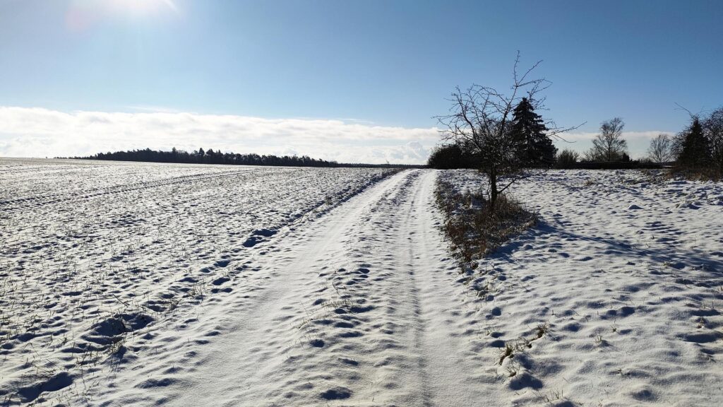 Kälteeinbruch: Verbände erwarten positive Folgen für Landwirtschaft 1 Schnee (Archiv)