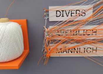 Tausende Änderungen des Geschlechtseintrags in Großstädten 2 `Crazy-Wall` bei einer Befragung (Archiv)