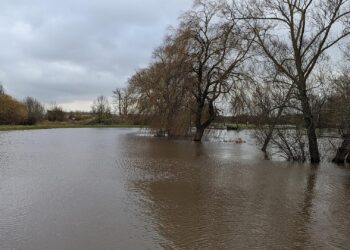 Naturkatastrophenschäden auch 2025 trotz Rückgang sehr hoch 2 Hochwasser (Archiv)