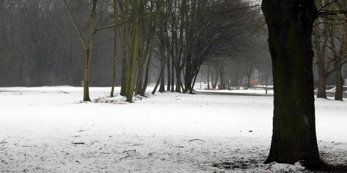 Winterlandschaft (Archiv)