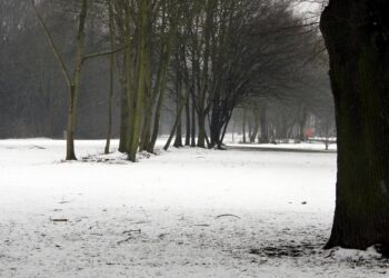 Feuerwehrverband warnt nach Wintereinbruch vor Waldspaziergängen 4 Winterlandschaft (Archiv)