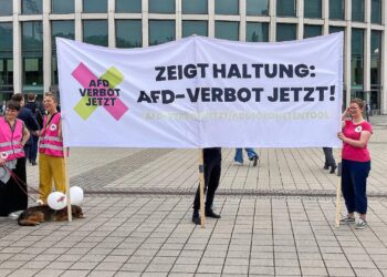 Protest für AfD-Verbot (Archiv)