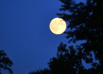 CSU will Deutschland zum Weltraumzentrum Europas machen 2 Mond (Archiv)