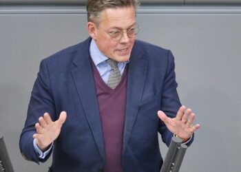 Konstantin von Notz (Archiv)