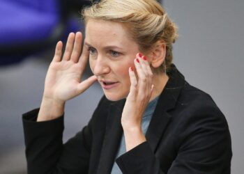 Linke kritisiert Nutzung des Sondervermögens als planlos 2 Ines Schwerdtner (Archiv)