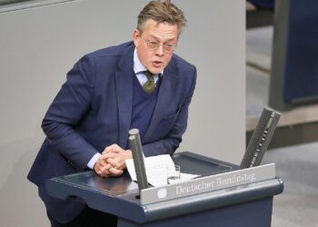 Konstantin von Notz (Archiv)