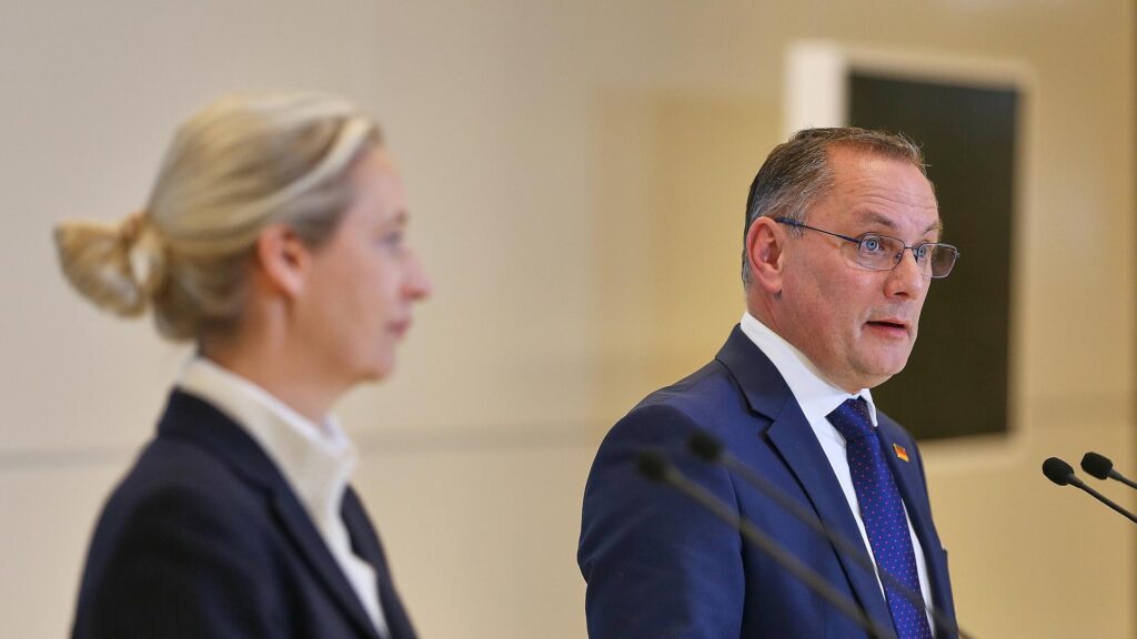 Alice Weidel und Tino Chrupalla (Archiv)