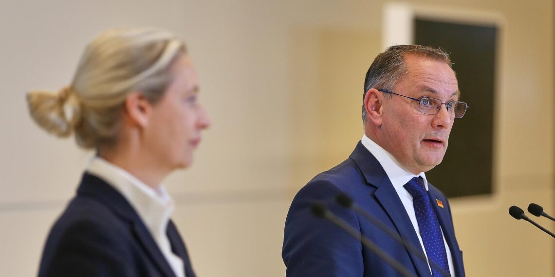 Alice Weidel und Tino Chrupalla (Archiv)