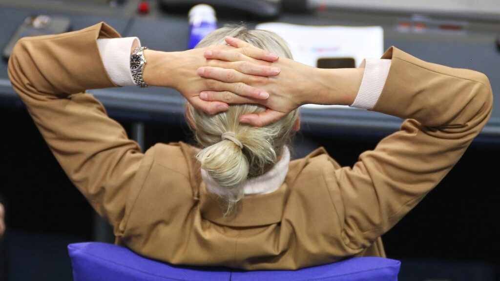 Alice Weidel (Archiv)