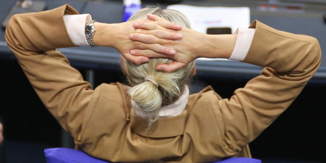 Alice Weidel (Archiv)