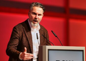 Fabio De Masi (Archiv)