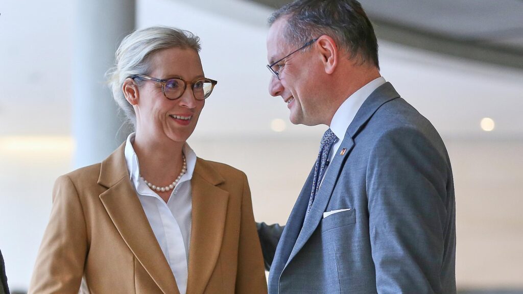 Alice Weidel und Tino Chrupalla (Archiv)
