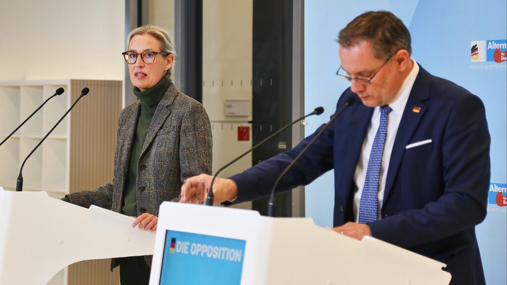 Alice Weidel und Tino Chrupalla (Archiv)
