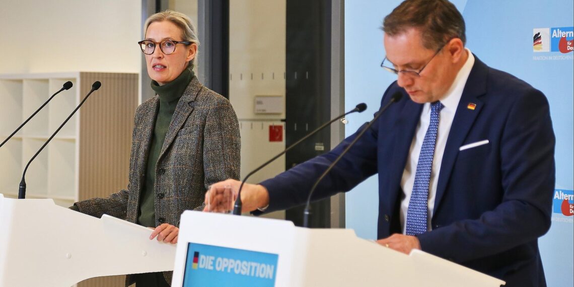 Alice Weidel und Tino Chrupalla (Archiv)