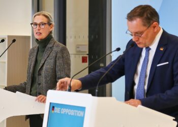 Alice Weidel und Tino Chrupalla (Archiv)