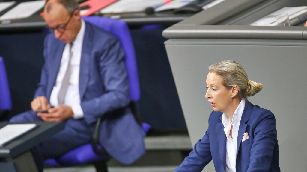 Friedrich Merz und Alice Weidel am 29.01.2026