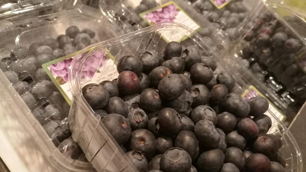 Heidelbeeren (Archiv)