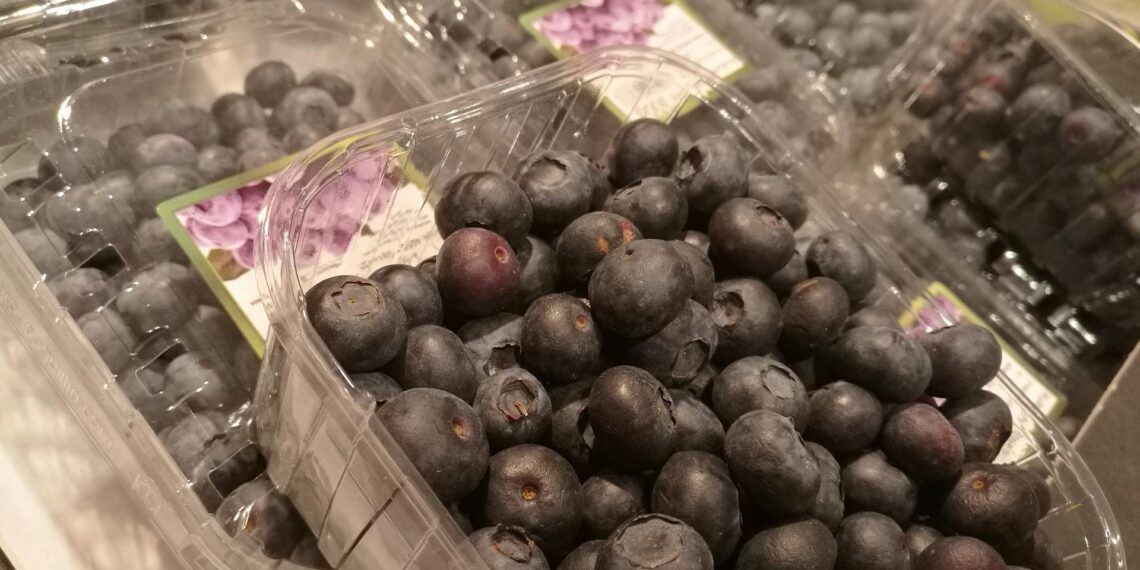 Heidelbeeren (Archiv)