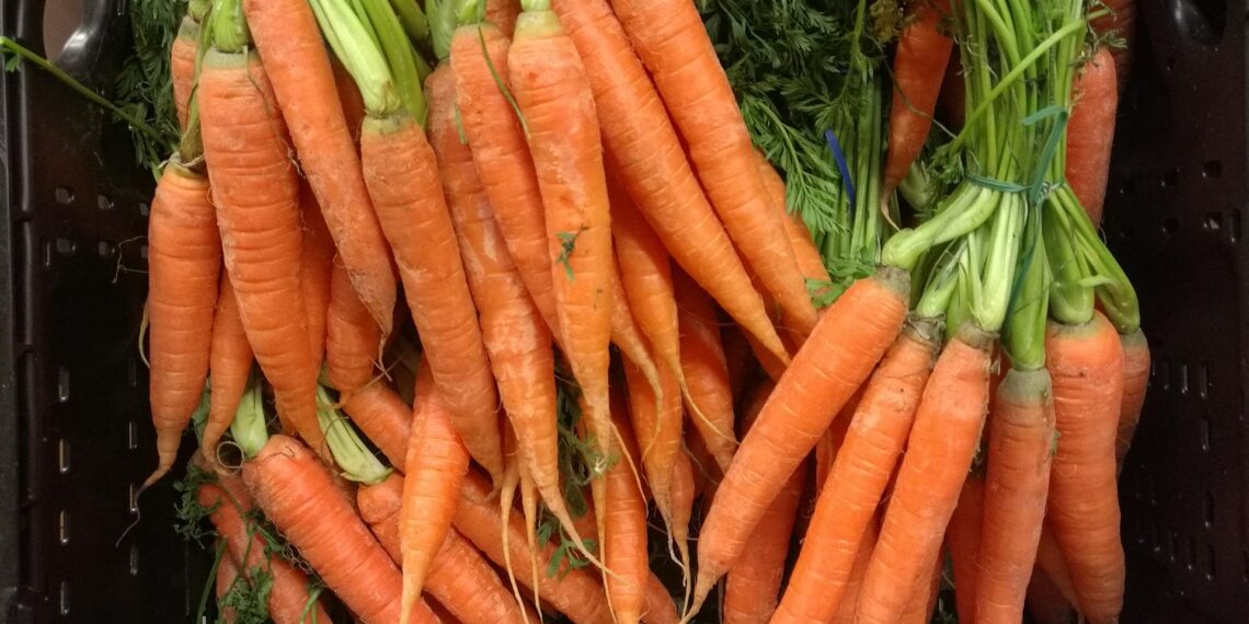 Gemüseernte steigt 2025 auf neuen Höchststand 1 Möhren (Archiv)