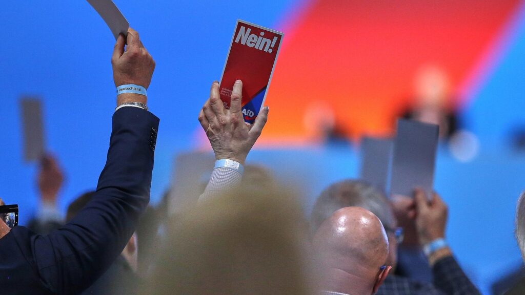 Abstimmung auf AfD-Parteitag (Archiv)