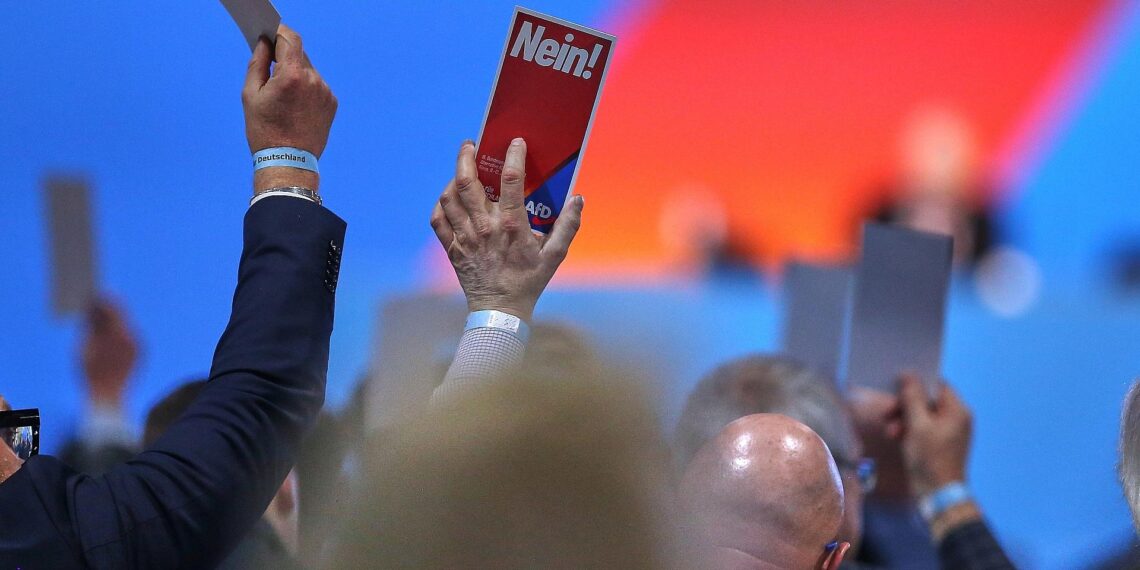 Abstimmung auf AfD-Parteitag (Archiv)