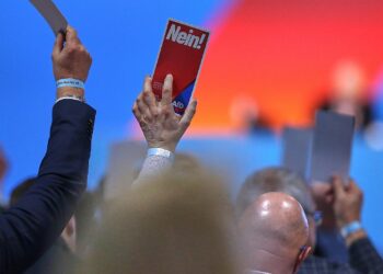 Abstimmung auf AfD-Parteitag (Archiv)