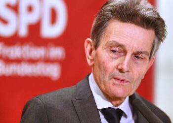 Rolf Mützenich (Archiv)