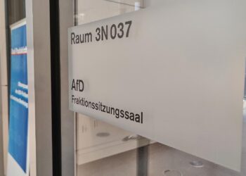 AfD-Bundestagsfraktion (Archiv)