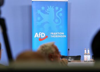 AfD-Fraktion im Thüringer Landtag (Archiv)