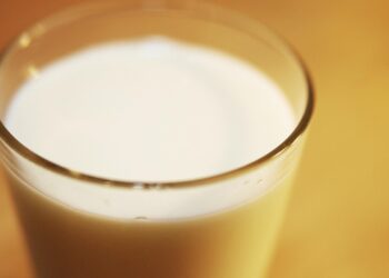 Milchbauern rufen Rainer zu Kampf gegen Preisverfall auf 2 Milch (Archiv)