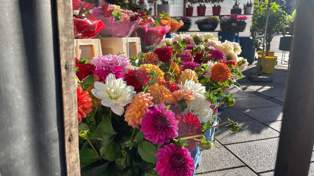 Blumen in einem Blumenladen (Archiv)