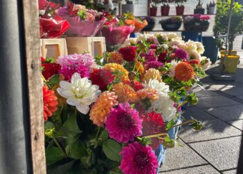 Blumen in einem Blumenladen (Archiv)