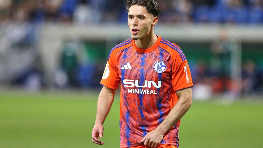 Soufiane El-Faouzi (Archiv)