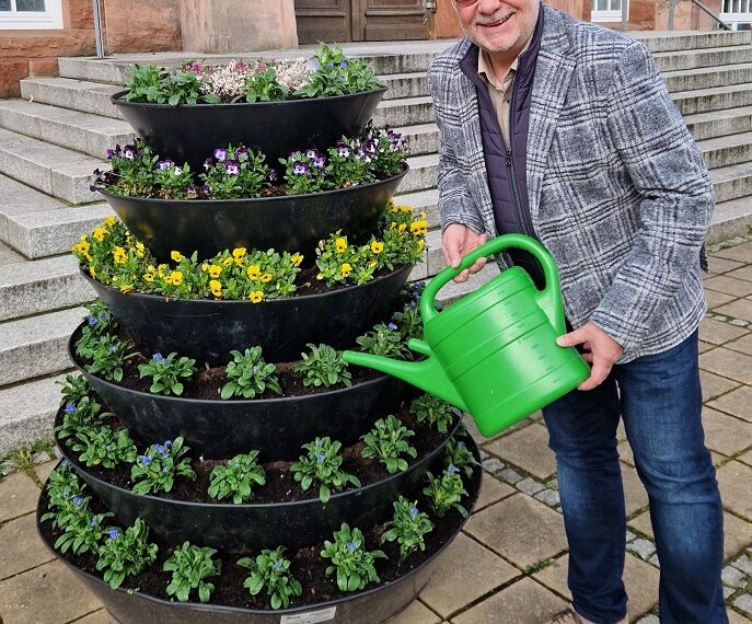Vergissmeinnicht-Pflanzen erinnern an Menschen mit Demenz