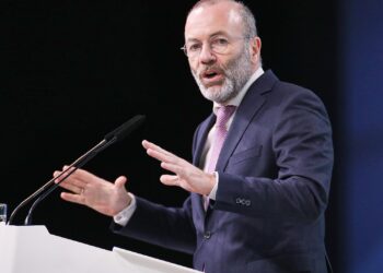 Manfred Weber (Archiv)