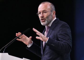 Manfred Weber (Archiv)