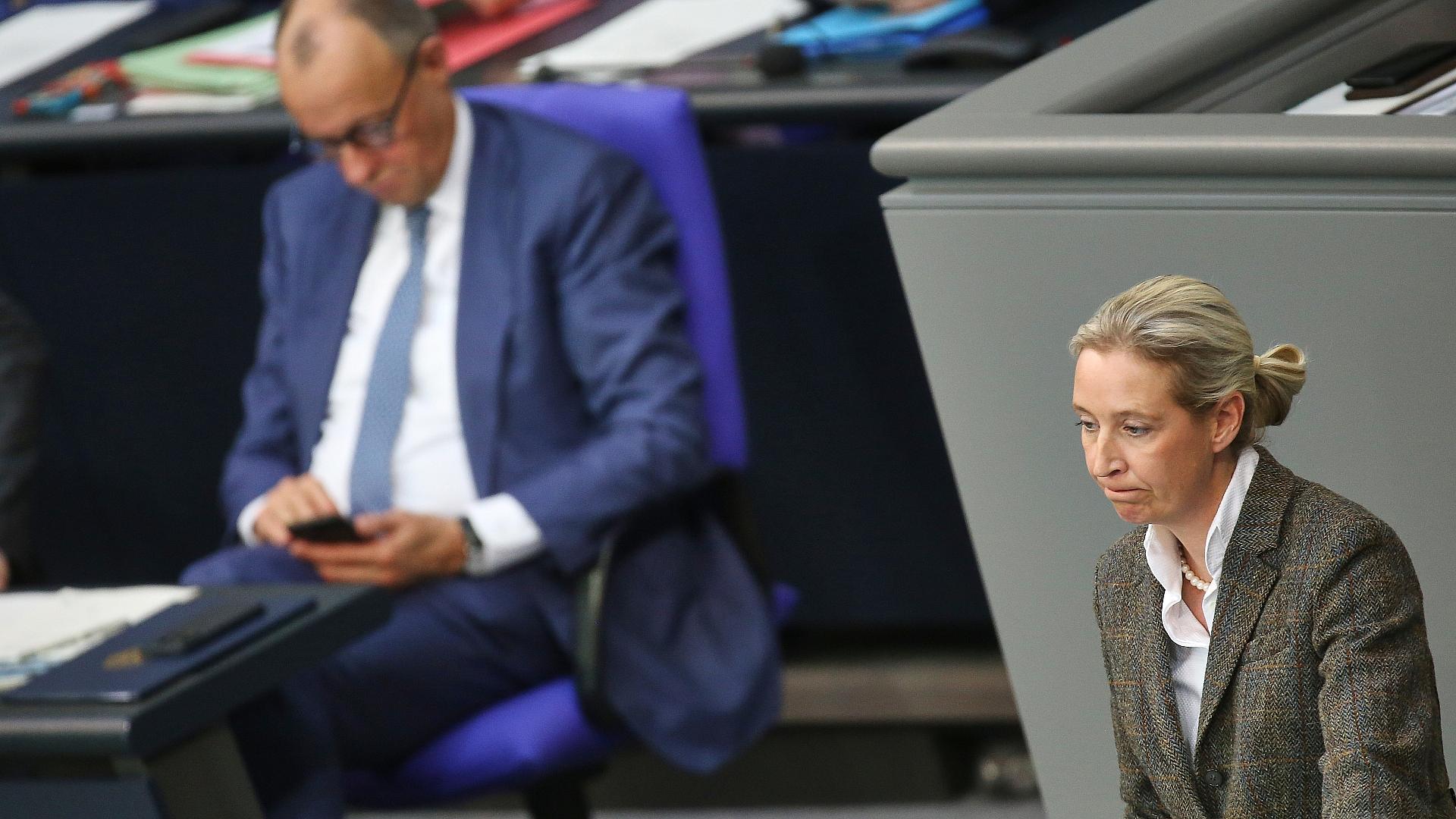 Friedrich Merz und Alice Weidel (Archiv)