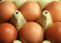 Eierproduktion 2025 leicht gestiegen 9 Eier (Archiv)