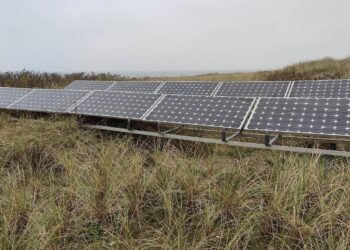 Solarzellen (Archiv)