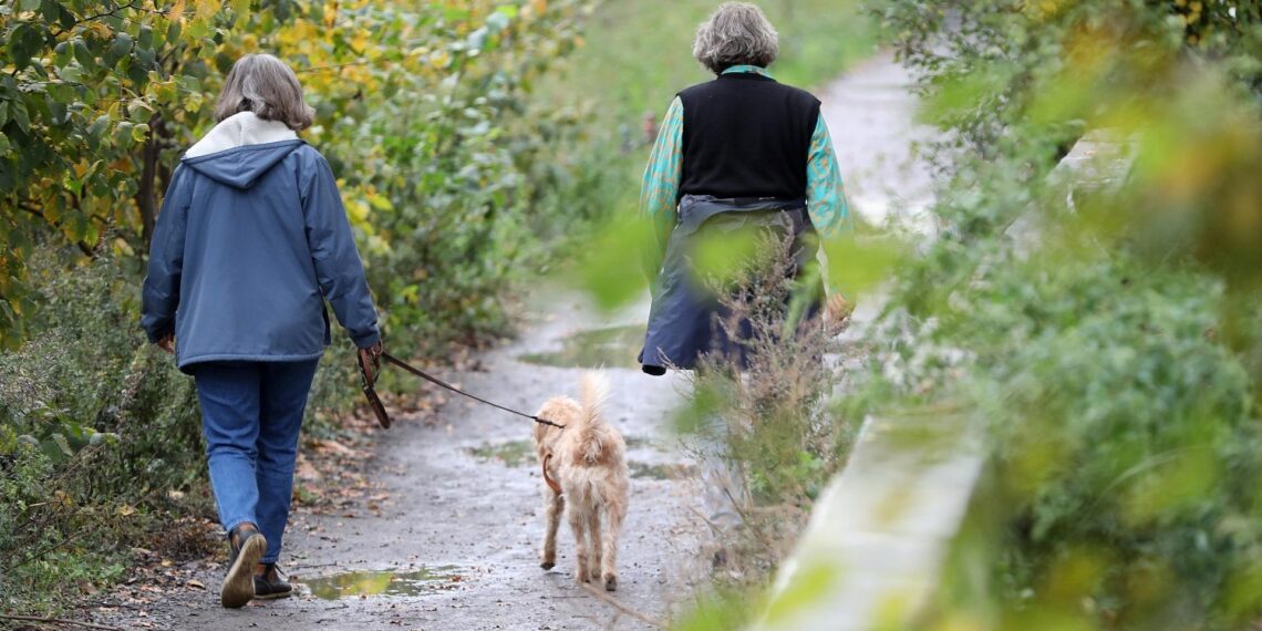 Zwei Frauen gehen mit einem Hund Gassi (Archiv)
