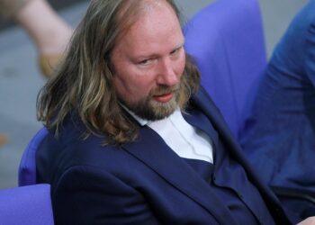 Anton Hofreiter (Archiv)