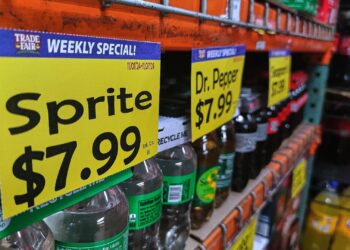 Preise für Sprite und Dr. Pepper Cola in einem US-Supermarkt (Archiv)