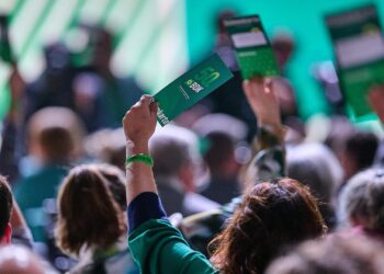 Abstimmung auf Grünen-Parteitag (Archiv)