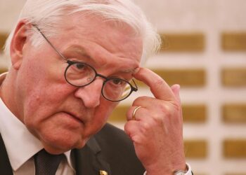 Frank Walter Steinmeier (Archiv)