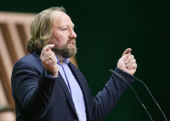 Anton Hofreiter (Archiv)