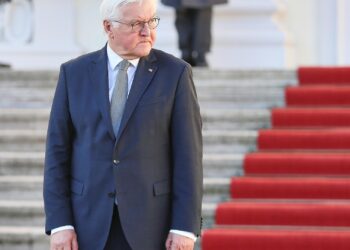 Frank-Walter Steinmeier (Archiv)