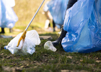 Sauberkeit, Reinigung, Picobello