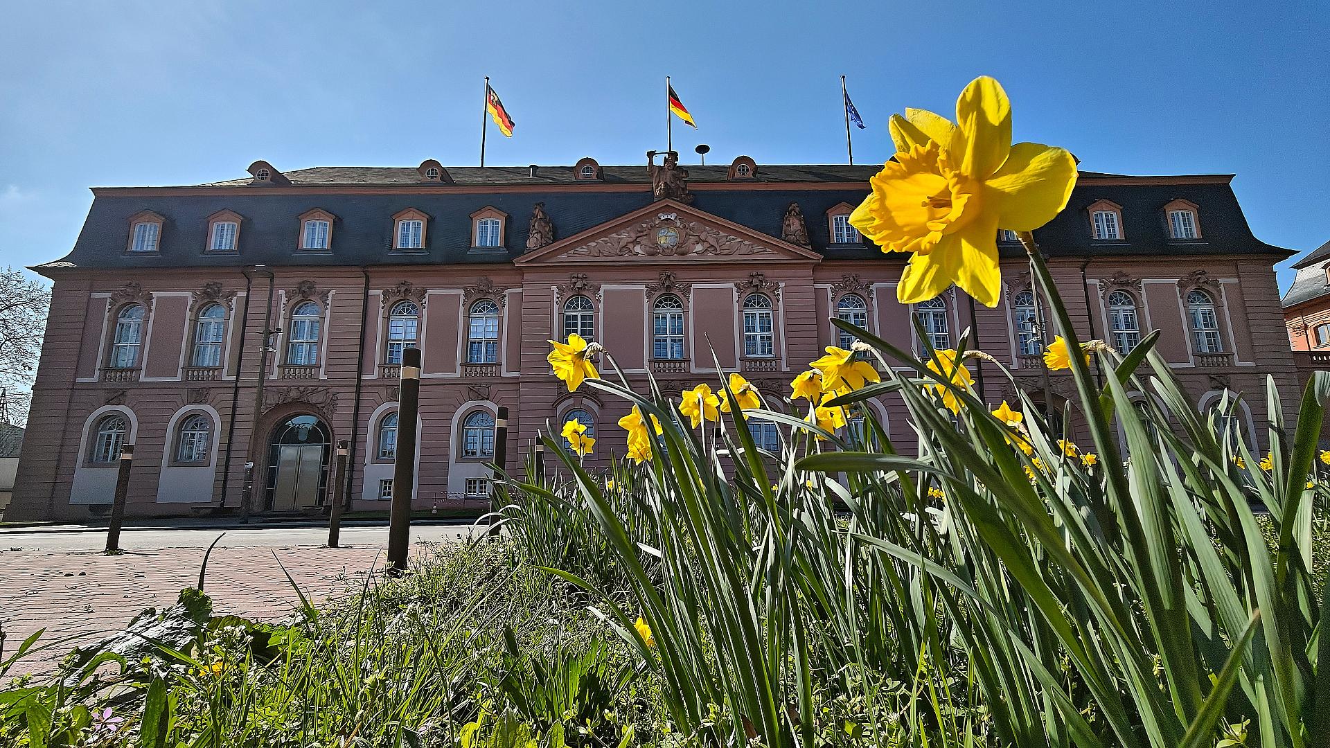 Landtag von Rheinland-Pfalz (Archiv)